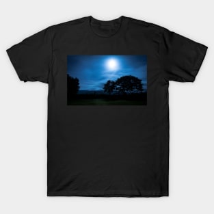 Beacons dance in the moonlight - 2013 T-Shirt